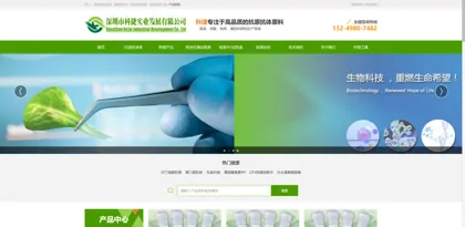 Screenshot of Shenzhen Kejie Industrial Development Co., Ltd.