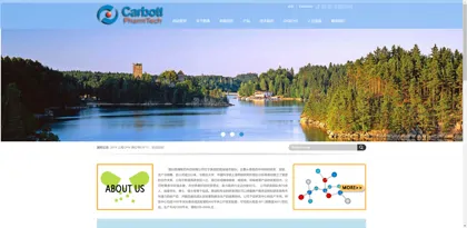 Screenshot of Yantai Kaibo Pharmaceutical Technology Co., Ltd.