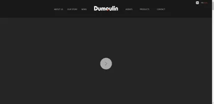 Screenshot of Dumoulin