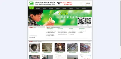 Screenshot of Wuhan Tiangao Water Supply and Drainage Engineering Co., Ltd.