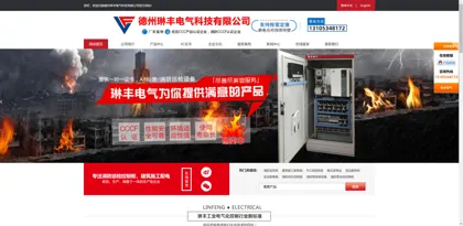 Screenshot of Dezhou Linfeng Electric Technology Co., Ltd.