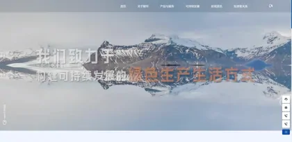 Screenshot of Shandong Longhua New Materials Co., Ltd.