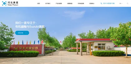 Screenshot of Hebei Meixing Chemical Co., Ltd.