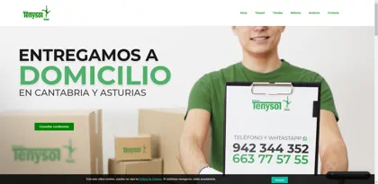 Screenshot of Tenysol S.L.