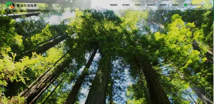 Screenshot of Linyi Mengjieer Activated Carbon Co., Ltd.